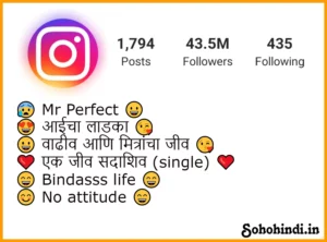Instagram Bio Ideas In Marathi