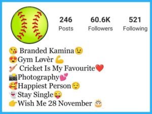 Instagram Bio for Cricket Lovers