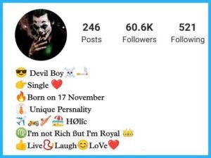 Instagram Bio for Devil Boys